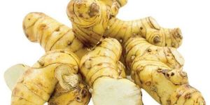 Galangal