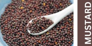 Mustard Seeds 100 Gm