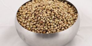 Coriander Seeds