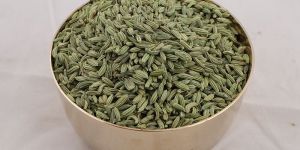 Fennel Seeds