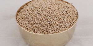 Natural Sesame Seeds