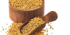 Yellow Mustard Seeds