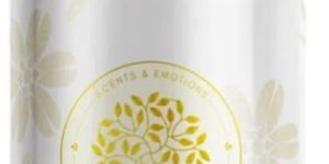 Mint Fragrance Oil