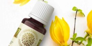 YLANG ESSENTIAL OIL FOR HAIR STRENGTHENING