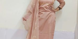 Cotton Embroidered Organza Highlighting Suit