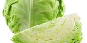 Cabbage