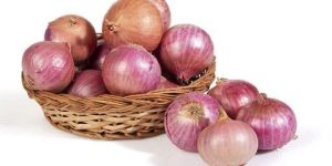 Onion