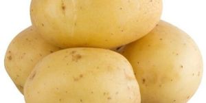 Potato