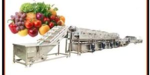 FRUIT and VEGETABLE PROCESSING PLANT