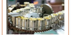 Fruits & vegetable Canning Machine