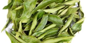 Dry Curry Leaves