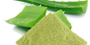 Aloe Vera Powder