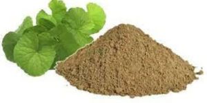 Brahmi Powder