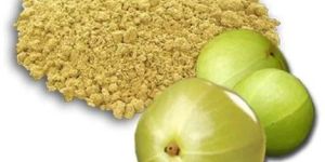 Dried Amla Powder