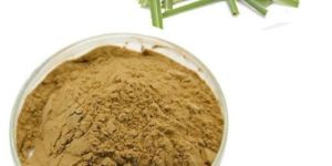 Dried Lemongrass Powder