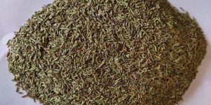 Dried Rosemary Leaves