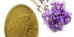 Lavender Powder
