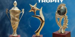 Customized Trophy