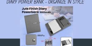 Power Bank Diary