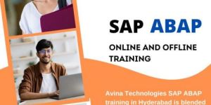 Online Software Training Services