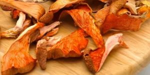 Sun Dried Pink Oyster Mushroom