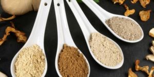 Mushroom Powder