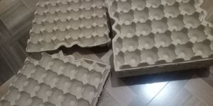 Paper Pulp Moulded Egg Tray