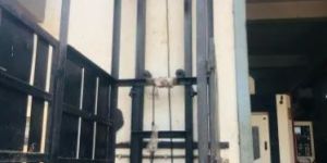 1-2 Ton Hydraulic Goods Lift