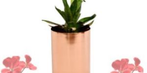 Copper Planter