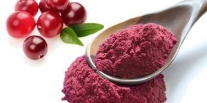 Spray Dried Cranberry Powder