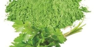 Spray Dried Green Coriander Powder