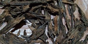 Agarwood Chip