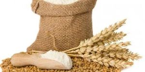 Wheat Flour