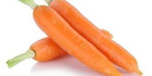 Fresh Orange Carrot