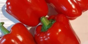 Fresh Red Capsicum