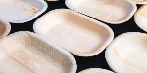 Square Areca Palm Leaf Plate