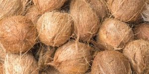 Semi Husked Mature Coconut