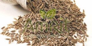 Cumin Seeds