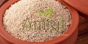 White Kodo Millet