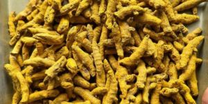 Finger Turmeric