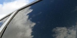 Automotive Window Film