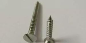 Drywall Screw