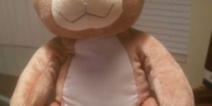 Teddy Bear Soft Toy