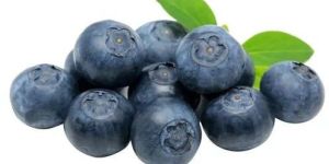 Fresh Blueberry