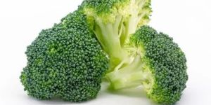 Fresh Broccoli