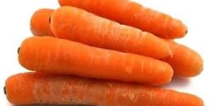 Fresh Carrot
