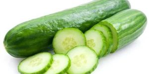 Fresh Cucumber