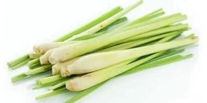 Fresh Lemon Grass