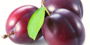Fresh Plums