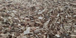 Babool Wood Fuel Chips